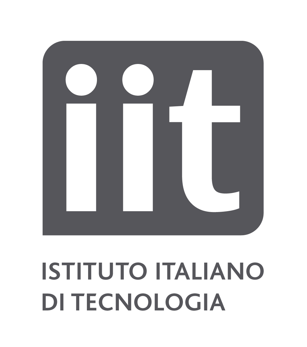 IIT v4 logo t1